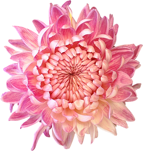 060207 (31).png